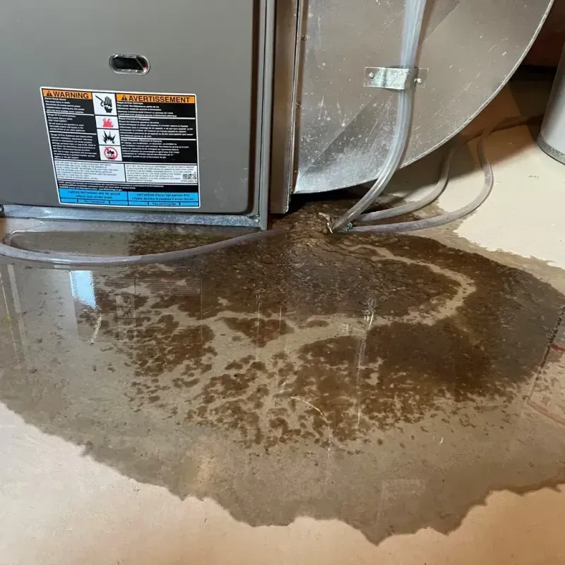 Appliance Leak Cleanup in Bullard, TX